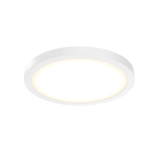 Delta 14" Round Multi-Voltage LED Flush Mount in White