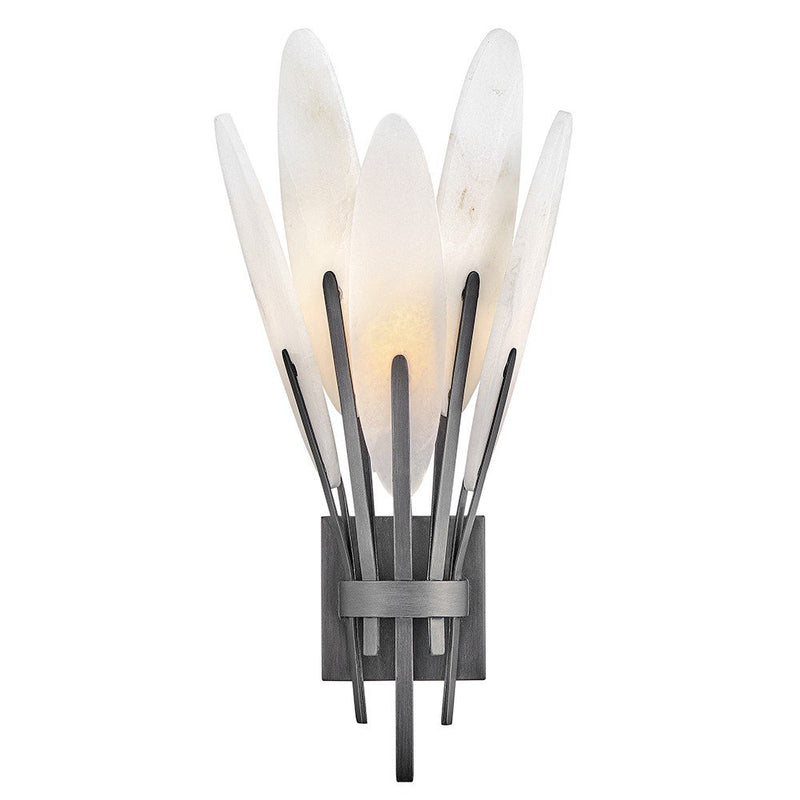 Nerine Wall Sconce in Brushed Graphite