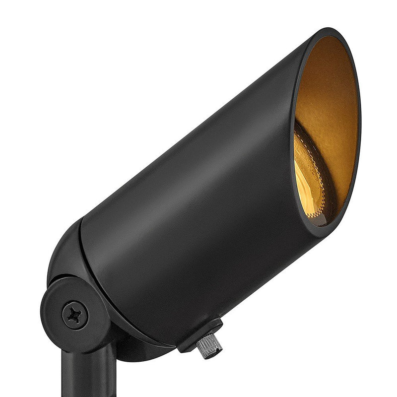 Hardy Island Accent Spot Light in Brass Satin Black