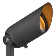 Hardy Island Accent Spot Light in Brass Satin Black