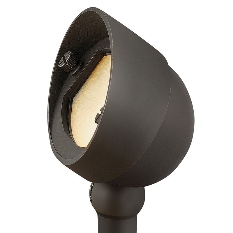 Hardy Island LED Wall Wash Light in Brass Satin Black