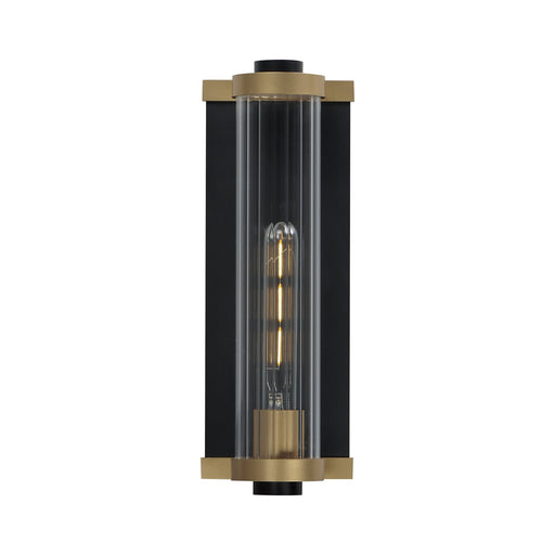 Opulent 14" Outdoor Wall Sconce in Black / Antique Brass