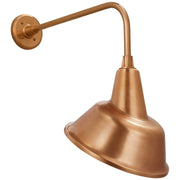 Academy Rex 20" Barn Light Outdoor Wall Lantern in Soft Copper