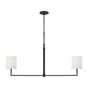 Danica 2-Light Large Linear Pendant in Aged Iron