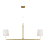 Danica 2-Light Large Linear Pendant in Burnished Brass