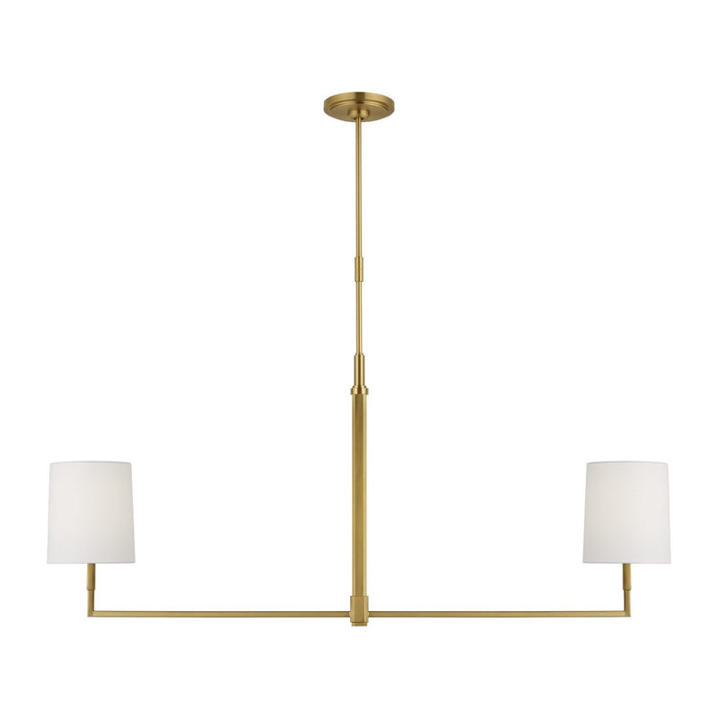Danica 2-Light Large Linear Pendant in Burnished Brass