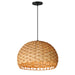 Tahiti One Light Pendant in Black