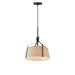 Bandera One Light Pendant in Dark Bronze