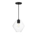 Geode One Light Pendant in Black