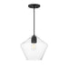 Geode One Light Pendant in Black