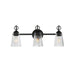 Jackson Hole Three Light Bath Vanity in Black