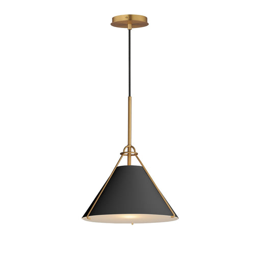 Lucas One Light Pendant in Black / Natural Aged Brass