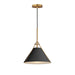 Lucas One Light Pendant in Black / Natural Aged Brass