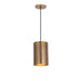 Shaka One Light Mini Pendant in Weathered Brass