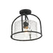 Del Mar One Light Semi Flush - Pendant in Blacksmith