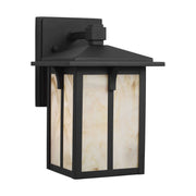 Tomek 10.6" Champagne Glass Outdoor Wall Lantern in Black