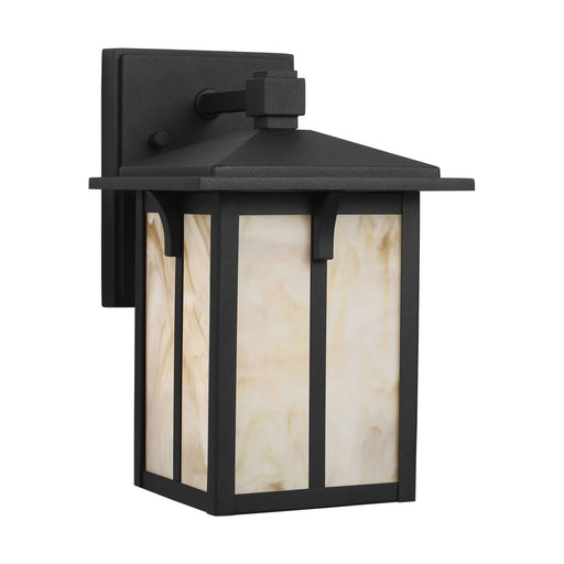 Tomek 10.6" Champagne Glass Outdoor Wall Lantern in Black