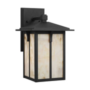 Tomek 14" Champagne Glass Outdoor Wall Lantern in Black