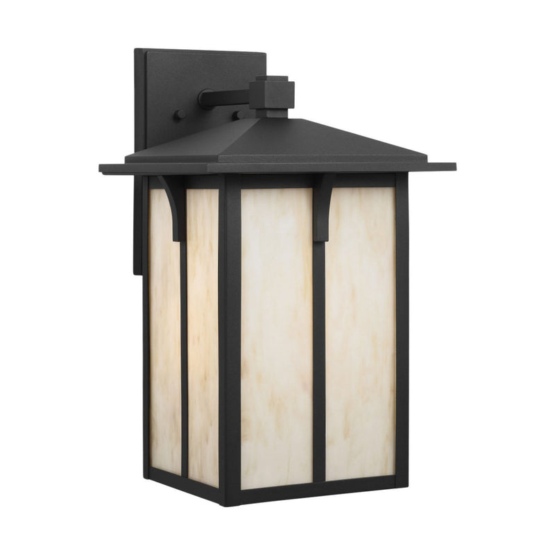 Tomek 18" Champagne Glass Outdoor Wall Lantern in Black