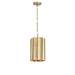Allegra One Light Mini Pendant in Weathered Brass