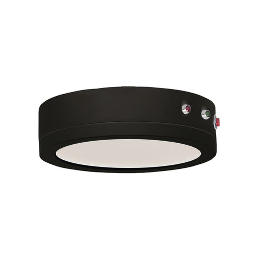 Wafer LED Surface Mount in Black
