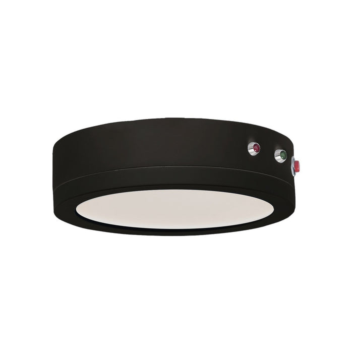 Wafer LED Surface Mount in Black