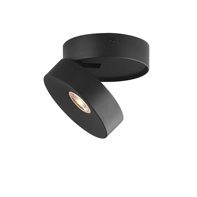 Swinger LED Flush Mount in Black