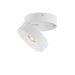 Swinger LED Flush Mount in White