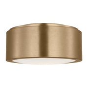 Albee 10" Flush Mount in Satin Brass