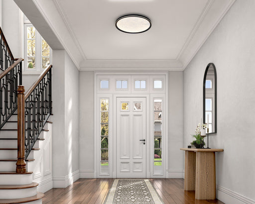 Luna 20" LED Flush Mount in Black