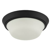 Edessa 2-Light Flush Mount in Black