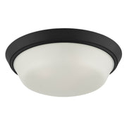 Edessa 3-Light Flush Mount in Black