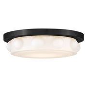 Zoey 14" LED Flush Mount in Black