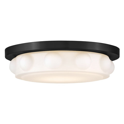 Zoey 14" LED Flush Mount in Black