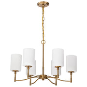 Liam 6-Light Chandelier in Burnished Brass
