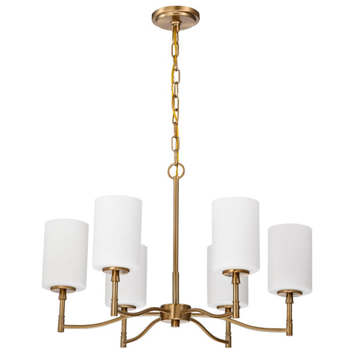 Liam 6-Light Chandelier in Burnished Brass