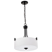 Liam 3-Light Pendant in Matte Black