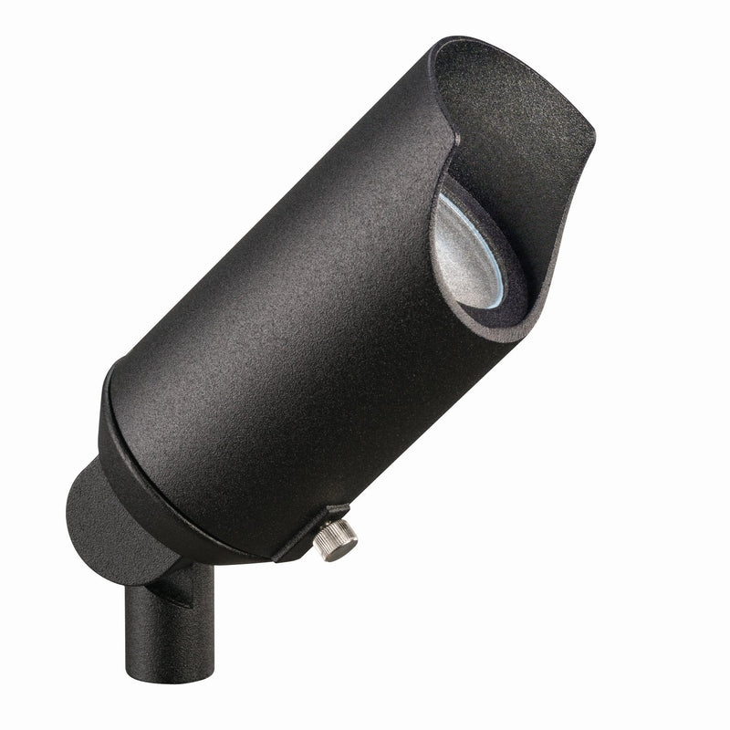 Compact MR16 Accent Spotlight in Black Brass