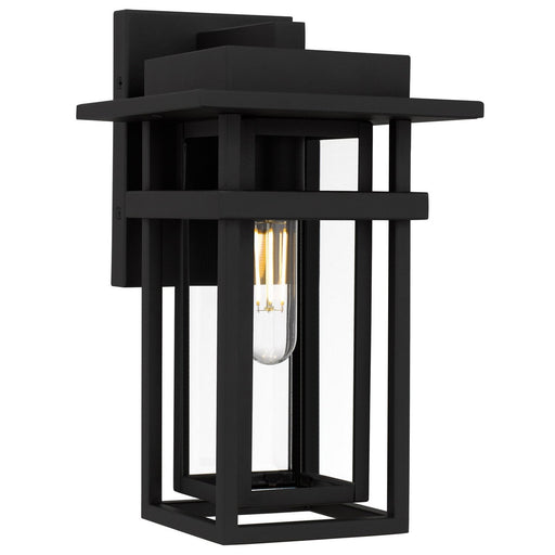 Morgan Small Outdoor Wall Lantern in Earth Black