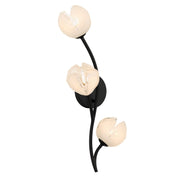 Walker 3-Light Wall Sconce in Matte Black