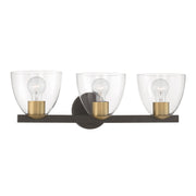 Noellea 3-Light Bath Vanity Light in Dark Bronze