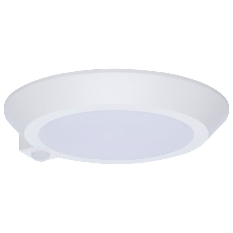 9.8" Non-Dimmable LED Disk Flush Mount in White