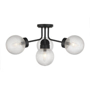 Coral 4-Light Semi-Flush Mount in Matte Black