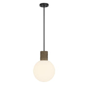 Jarrell Globe Pendant in Matte Black