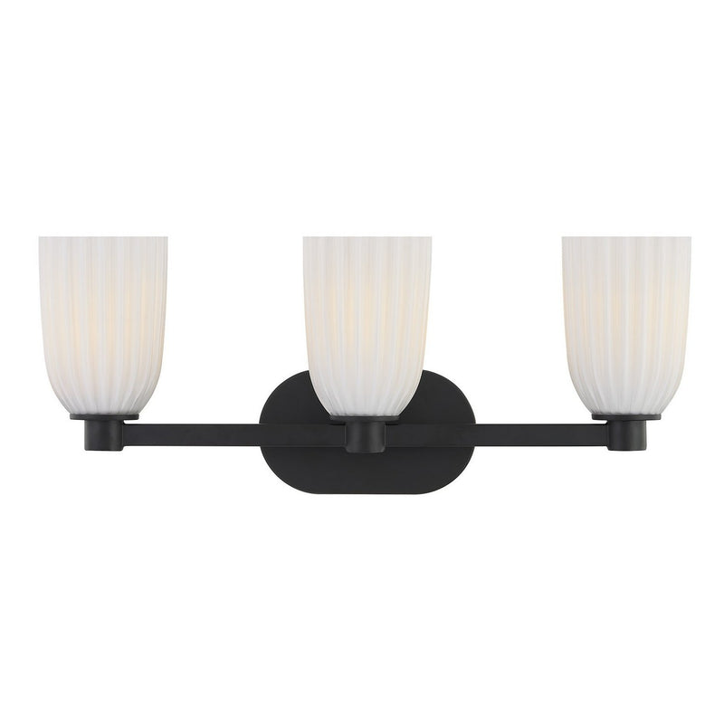 Baldwin 3-Light Bath Vanity Light in Matte Black