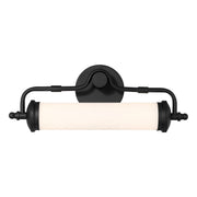Keller 18" LED Bath Vanity Light in Black Lustre