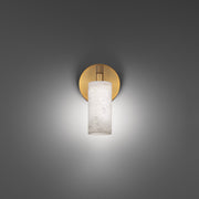 Zayle Swing Arm Wall Lamp in Aged Brass