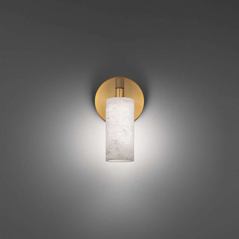 Zayle Swing Arm Wall Lamp in Aged Brass