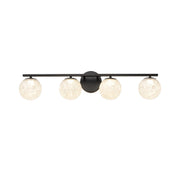 Forma 4-Light LED Bath Vanity Light in Black