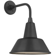 Academy Rex 11" Barn Light Outdoor Wall Lantern in Matte Black